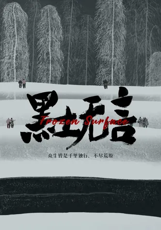 Frozen Surface poster