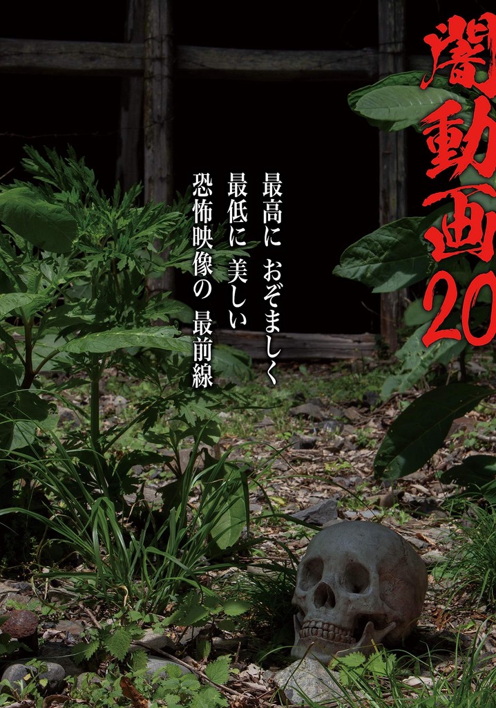 Tokyo Videos of Horror 20