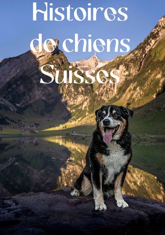Histoires de chiens Suisses