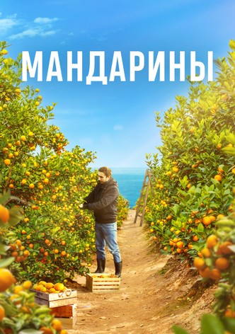 Mandariny