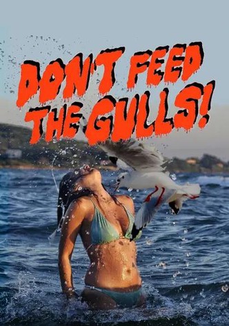 Don’t Feed the Gulls!