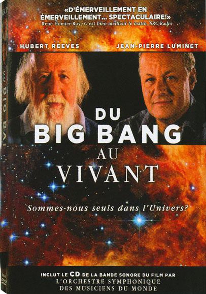 Du big bang au vivant