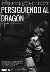 Persiguiendo al dragón