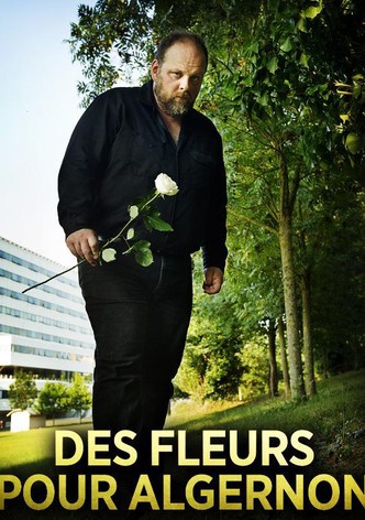 Flowers for Algernon