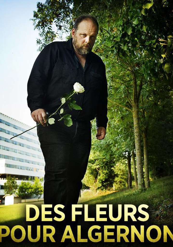 Flowers for Algernon