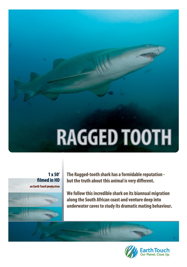 Ragged Tooth