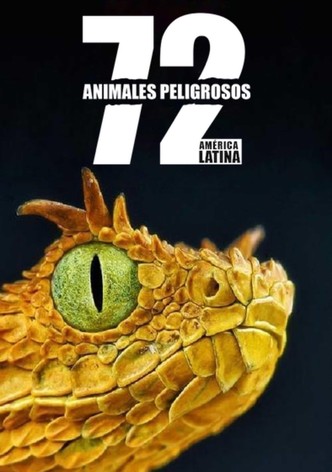 72 Animales Peligrosos: América Latina