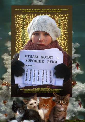 Otdam kotyat v khoroshie ruki