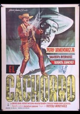 El cachorro