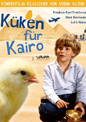 Küken für Kairo