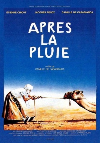 Après la pluie