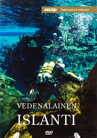 Underwater Iceland