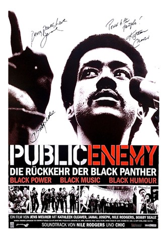 Public Enemy: Reflections of The Black Panthers