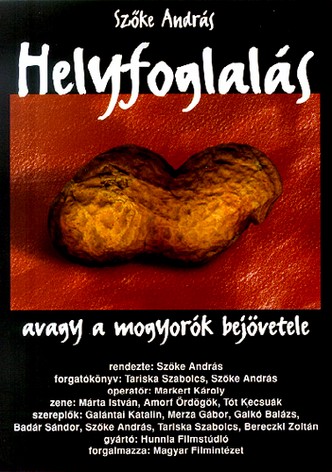 Helyfoglalás, avagy a mogyorók bejövetele