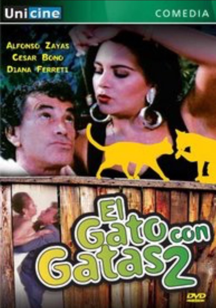 El gato con gatas II