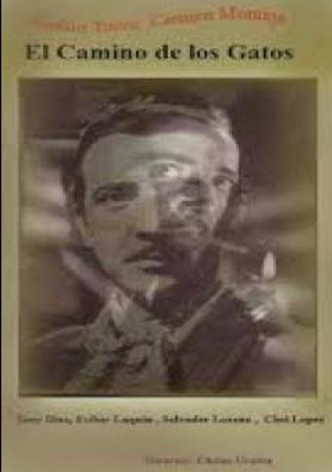 El camino de los gatos