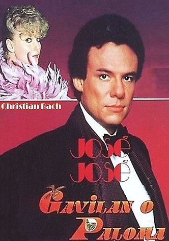 Gavilán o paloma