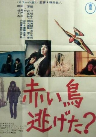 赤い鳥逃げた？
