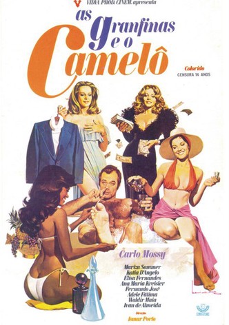 As Granfinas e o Camelô