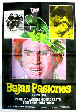 Bajas pasiones (La felure)