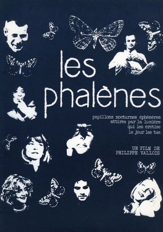 Les Phalènes