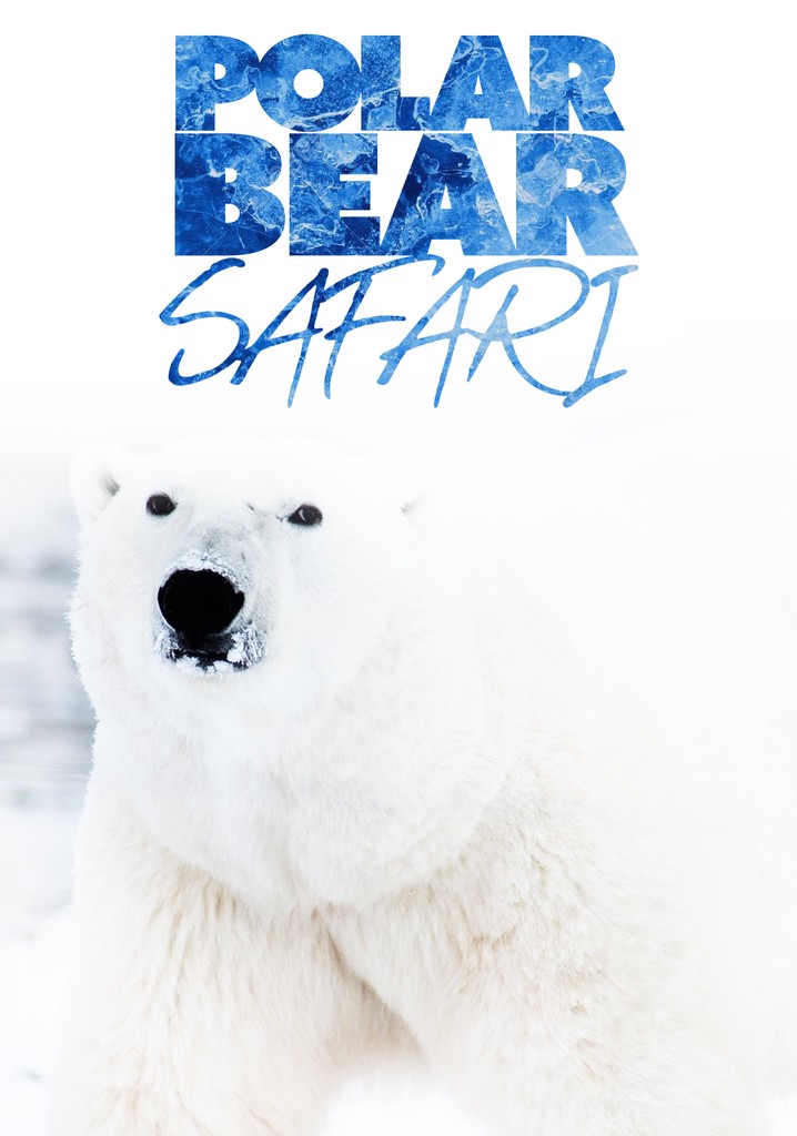 Polar Bear Safari