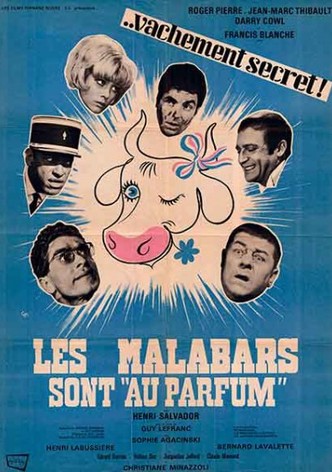 Špionáž jako kráva