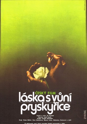 Láska s vuní pryskyrice