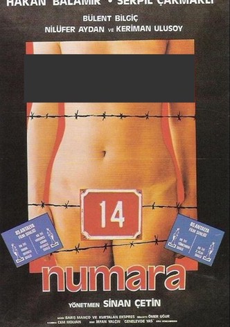 Number 14