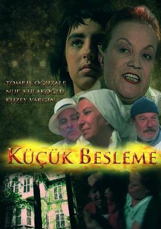 Küçük Besleme