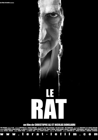 Le rat