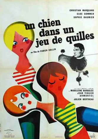 Un chien dans un jeu de quilles