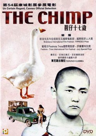 The Chimp