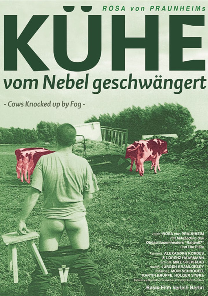 Cows Knocked Up by Fog