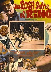 Una rosa sobre el ring