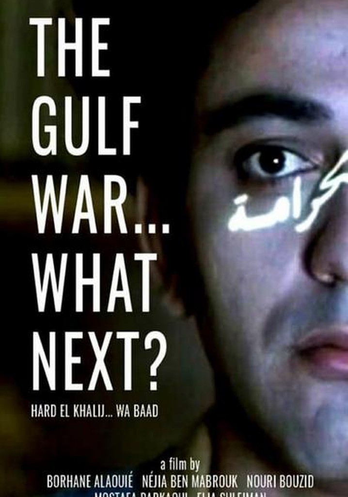 The Gulf War... What Next?