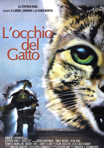 L'occhio del gatto