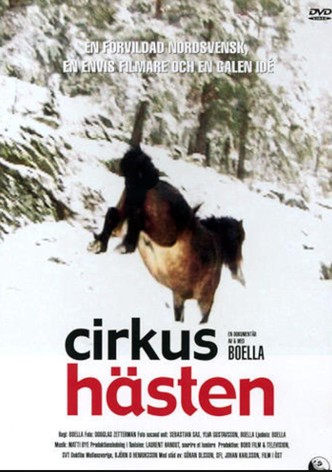 Cirkushästen