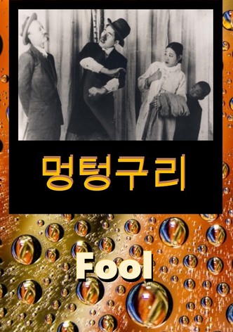 Fool
