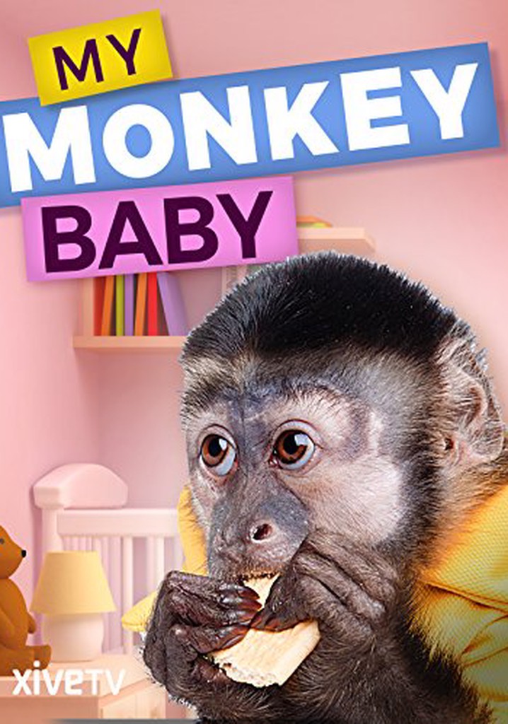 My Monkey Baby