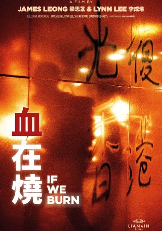 血在燒