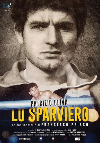 Lo sparviero