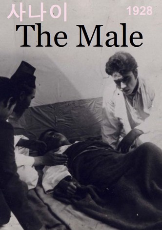 The Male