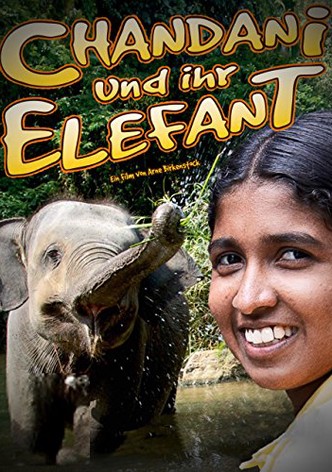 Chandani und ihr Elefant