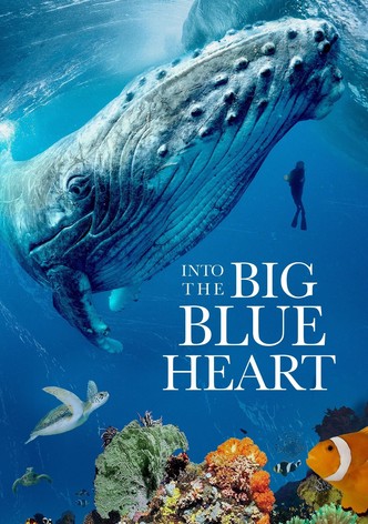 Into the Big Blue Heart: Ocean Currents - Season 1