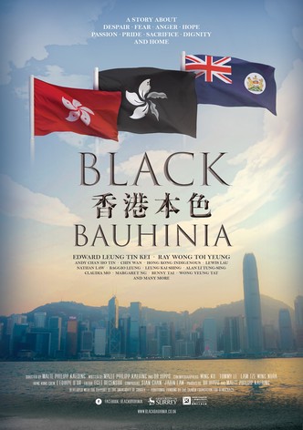 Black Bauhinia