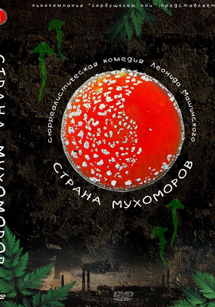 The Land of Fly-Agarics