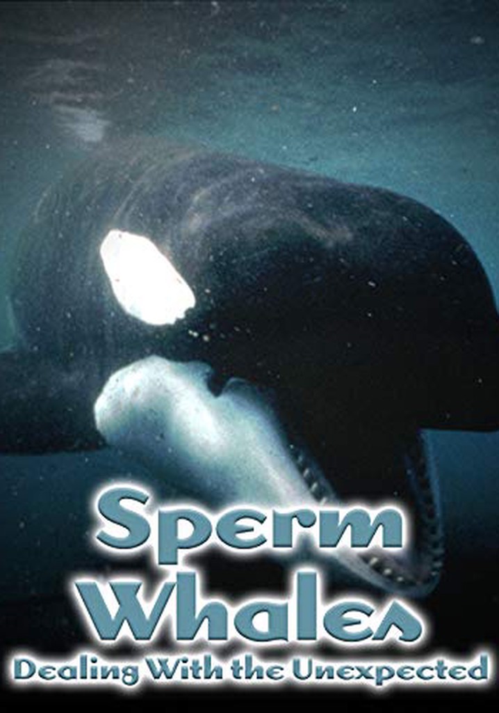 Sperm Whales, Dealing with the Unexpected