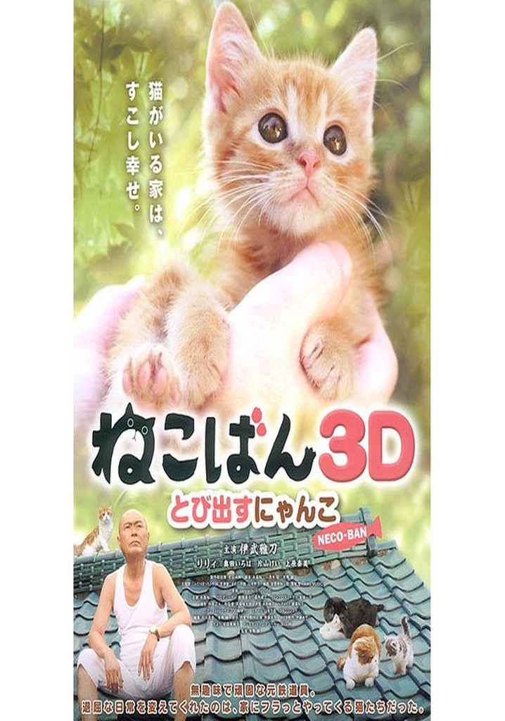 Neco-Ban: Cats in Your Life