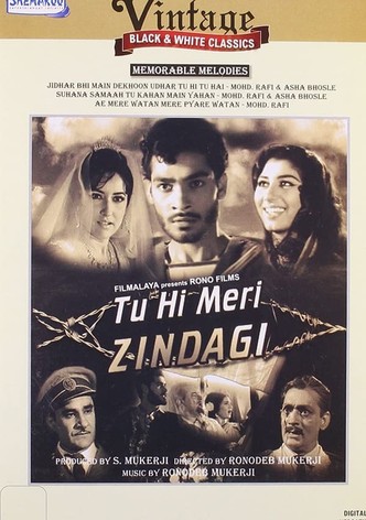 Tu Hi Meri Zindagi